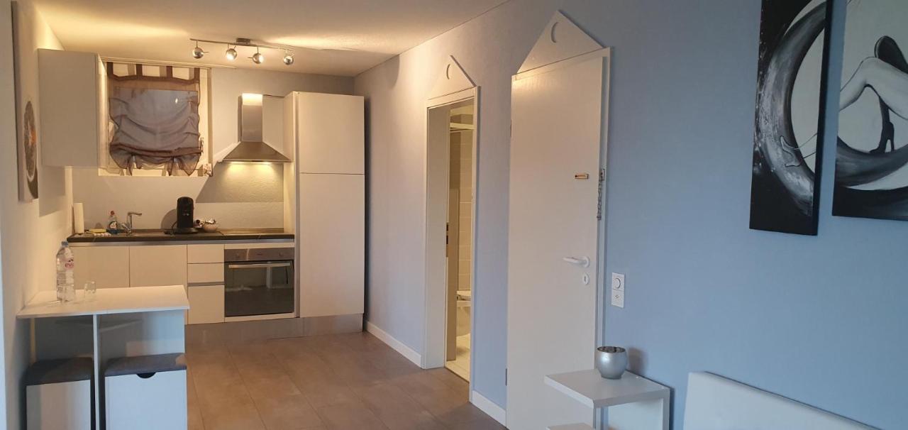 Ferienwohnung Am Bodensee Mit Seesicht Und Wellness Rorschacherberg Buitenkant foto